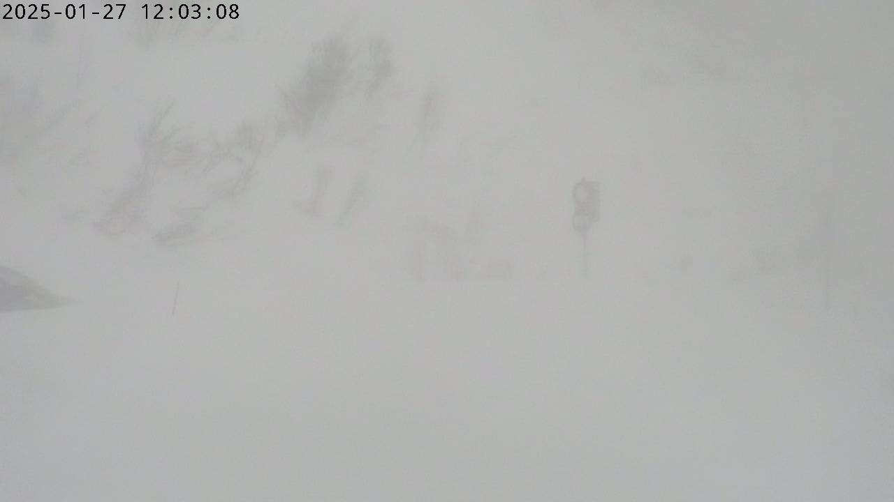 27.01.2025 12:03
