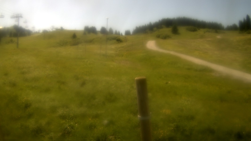 42h ago - 13:00