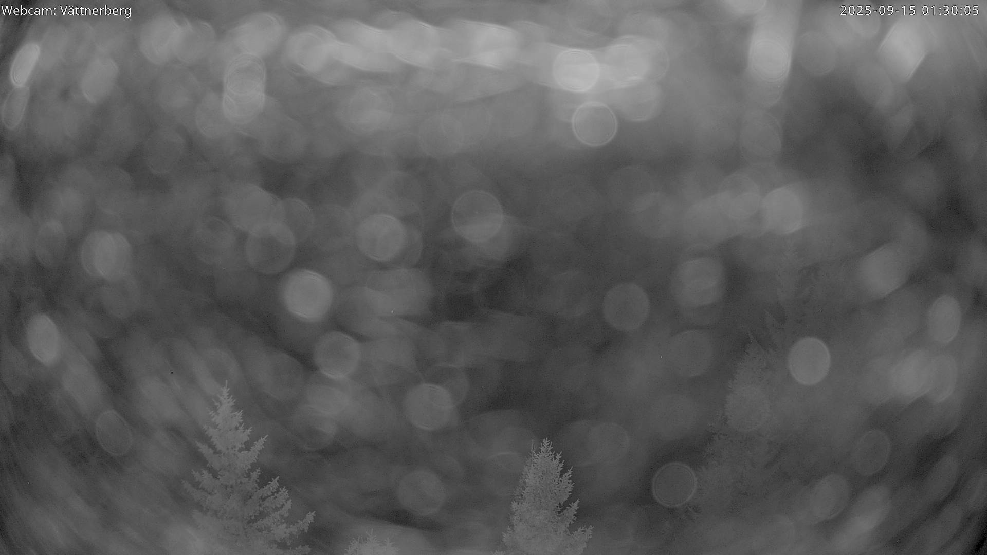 43h ago - 01:40
