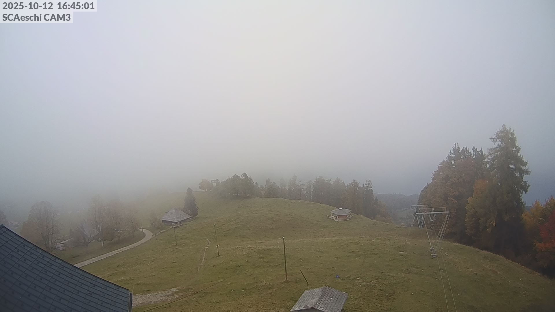24h ago - 16:45