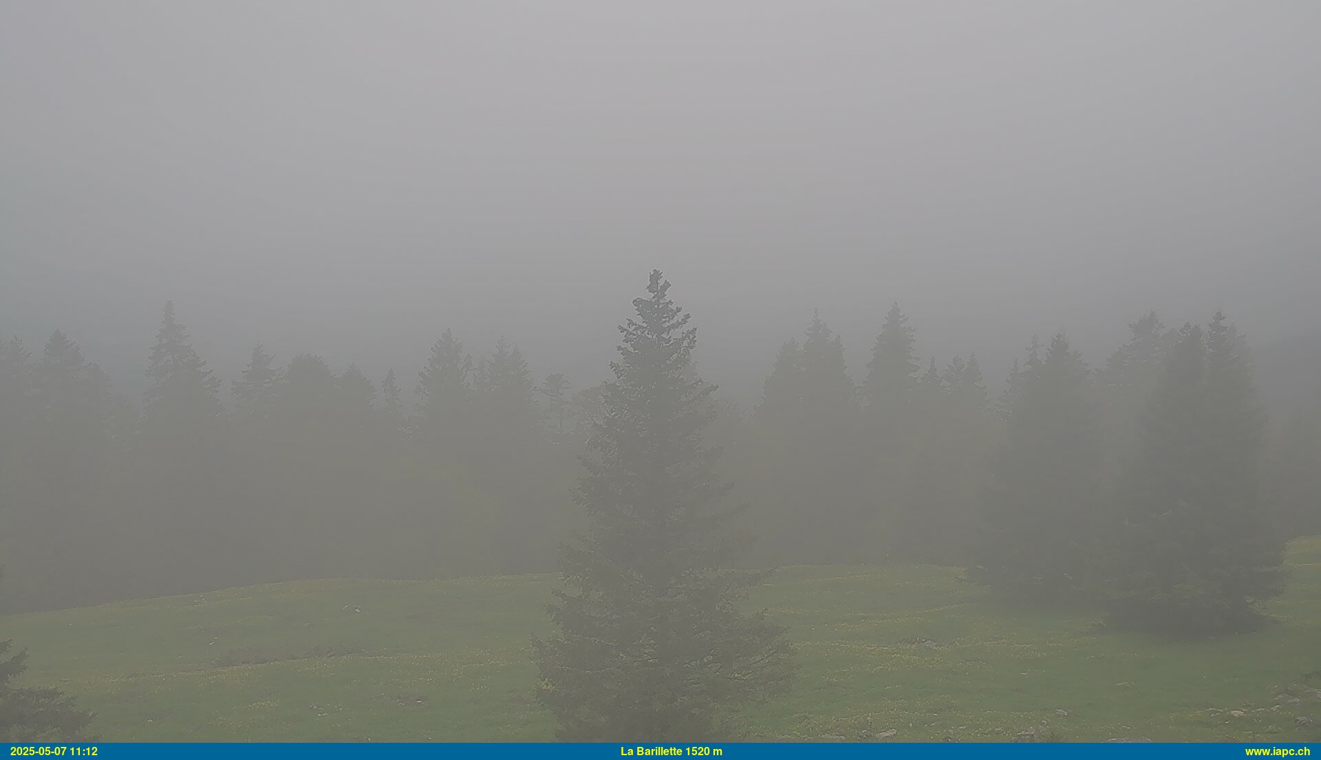 45h ago - 11:13
