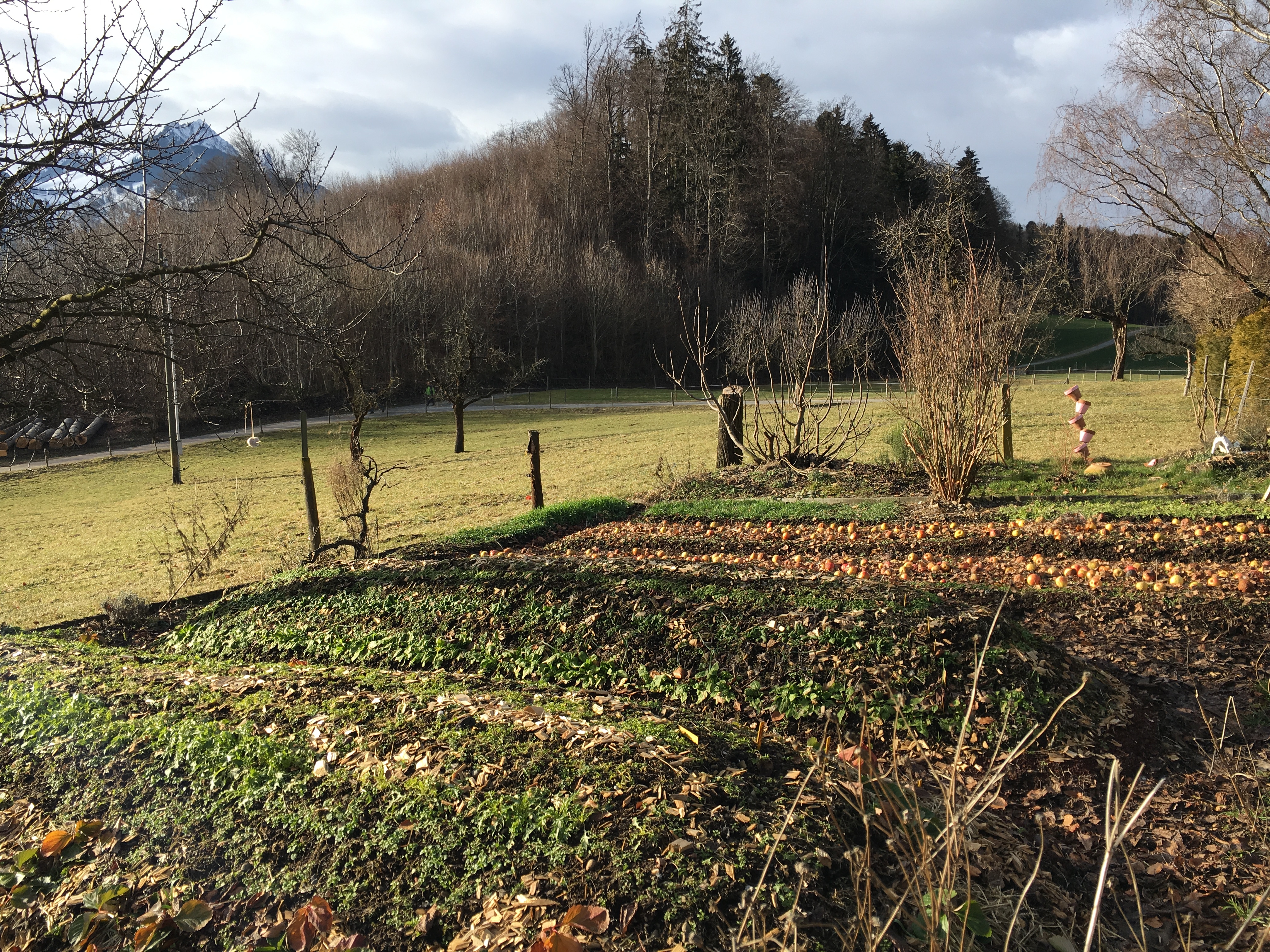 Herbst-Permakultur in Spiez: Humus & Bodenaufbau-Kurs