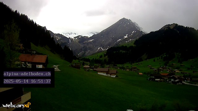 15h ago - 16:51