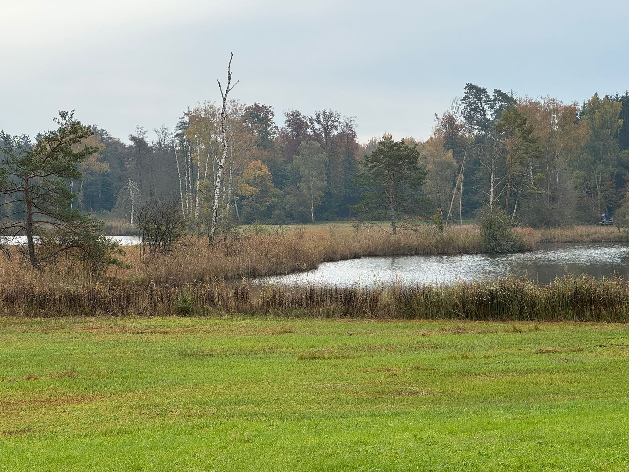Jahrgängerverein Dübendorf, Januar Wanderung Ossingen-Husemersee-Ossingen