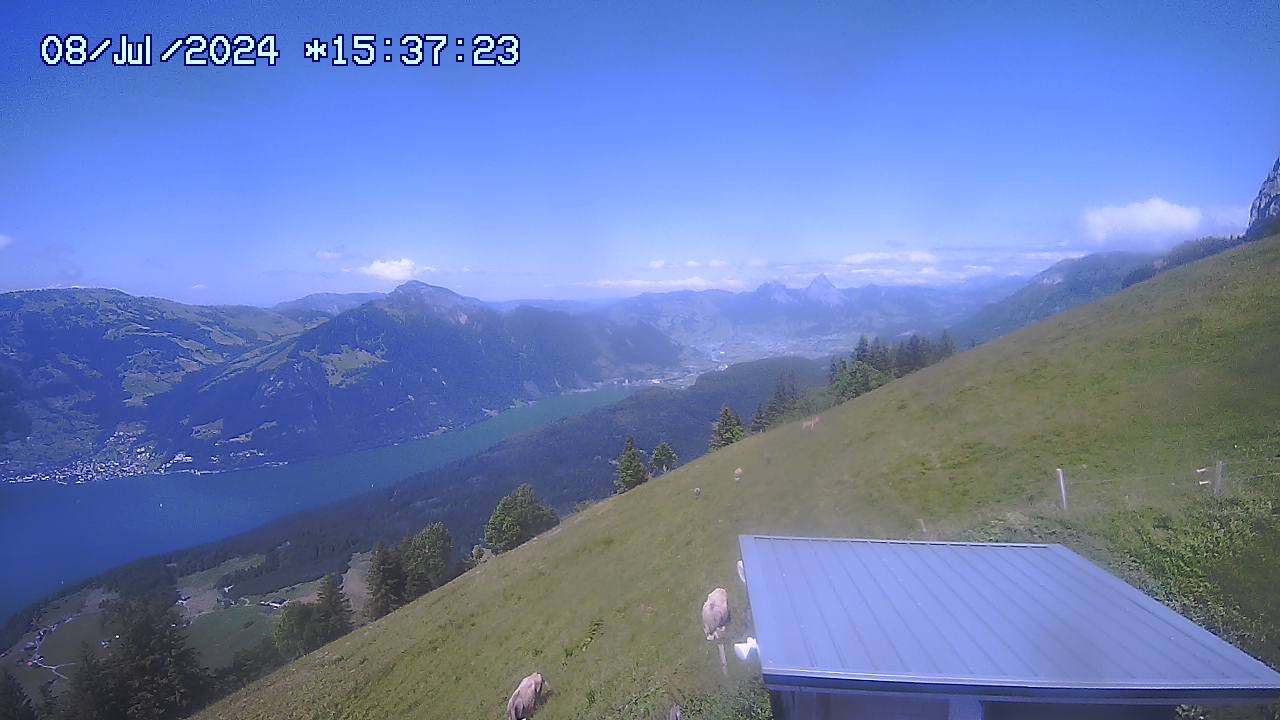 08.07.2024 15:31