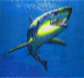 Haifisch