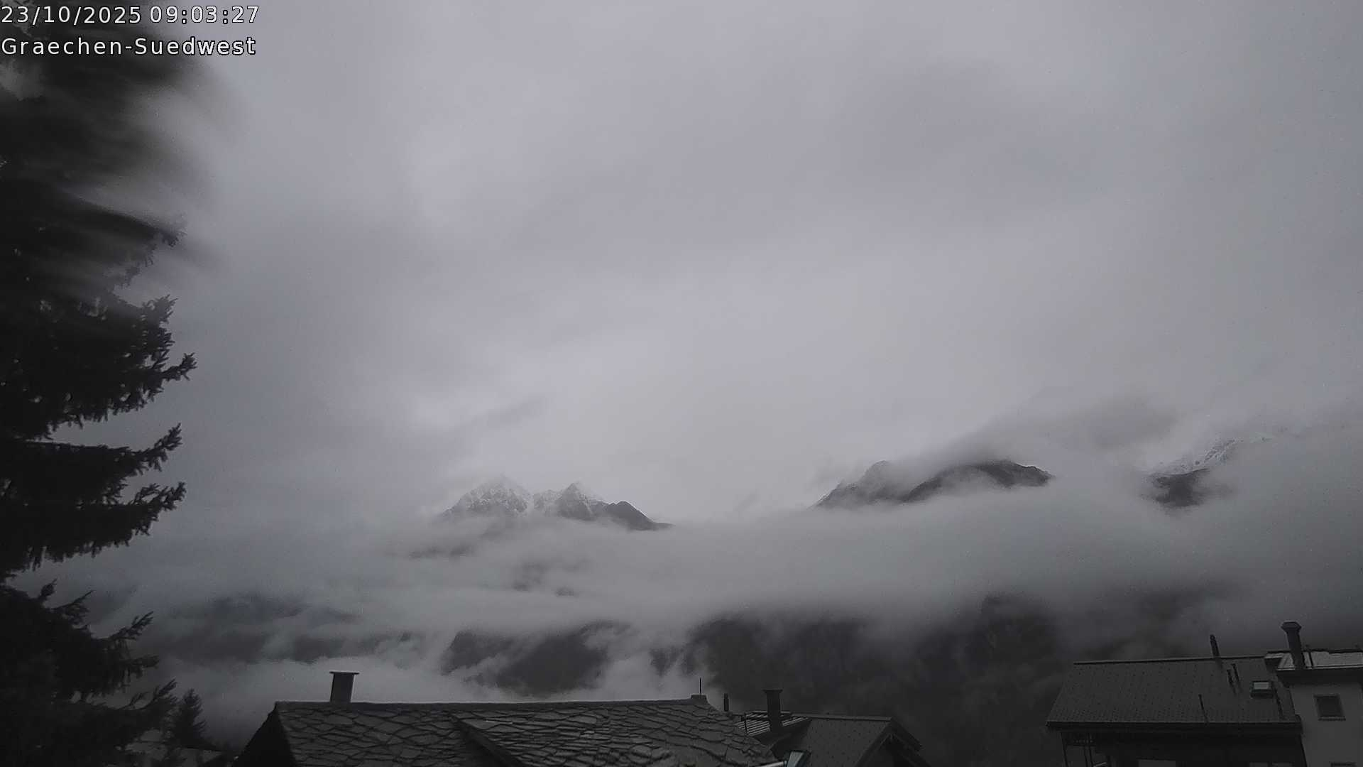 3h ago - 09:01