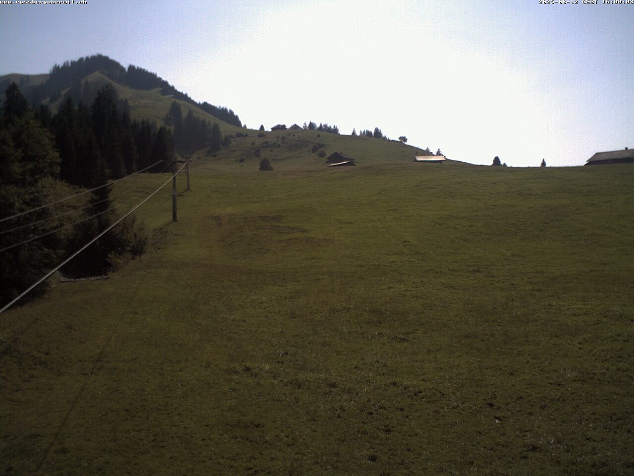 28h ago - 16:00