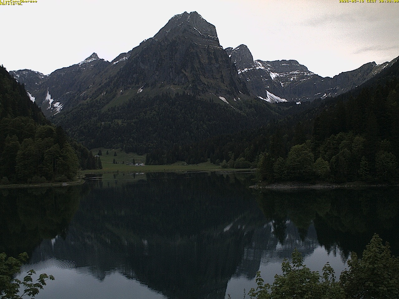 8h ago - 20:33