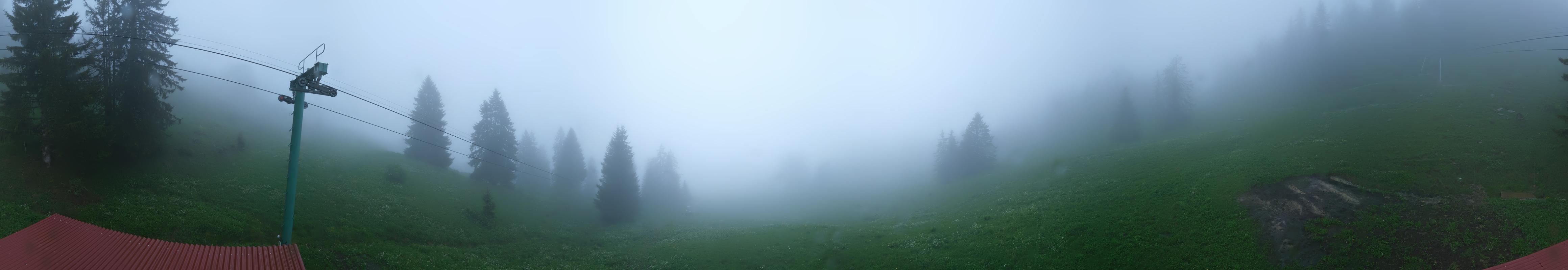 20h ago - 19:31