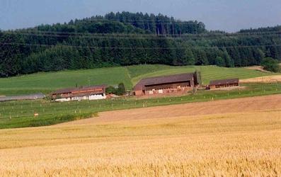 Hof Eggweid - 1
