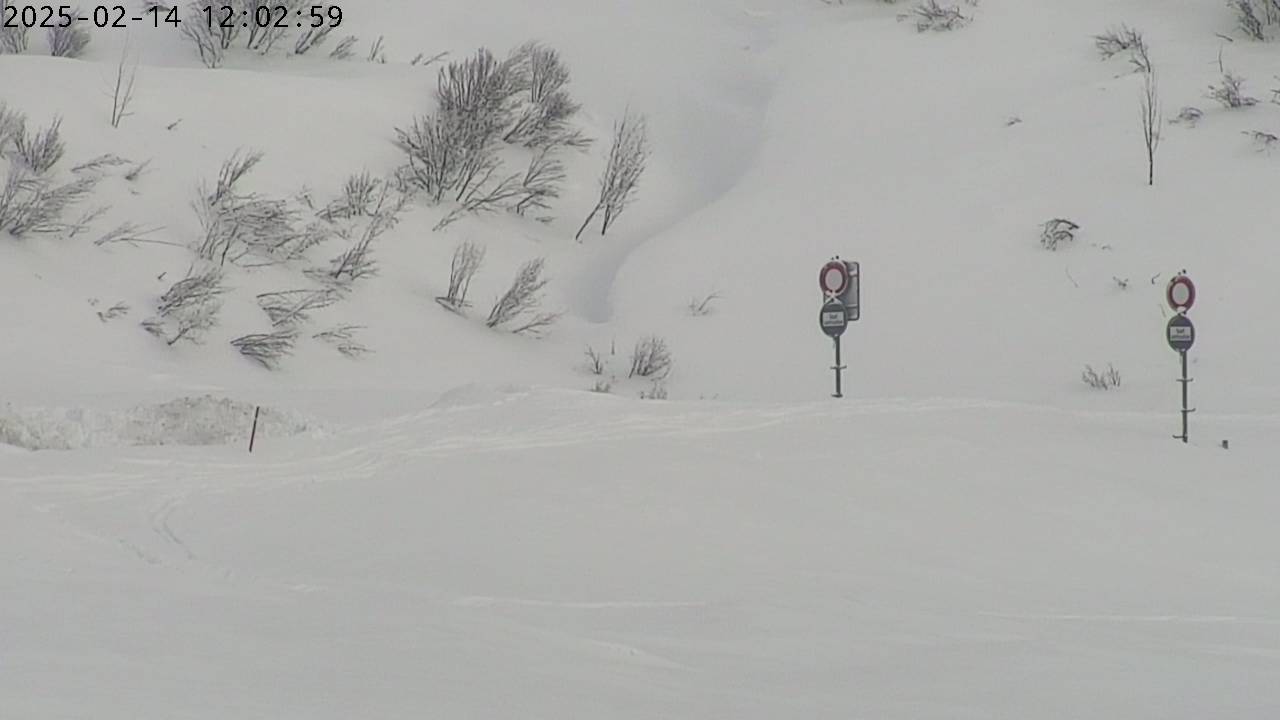 14.02.2025 12:03