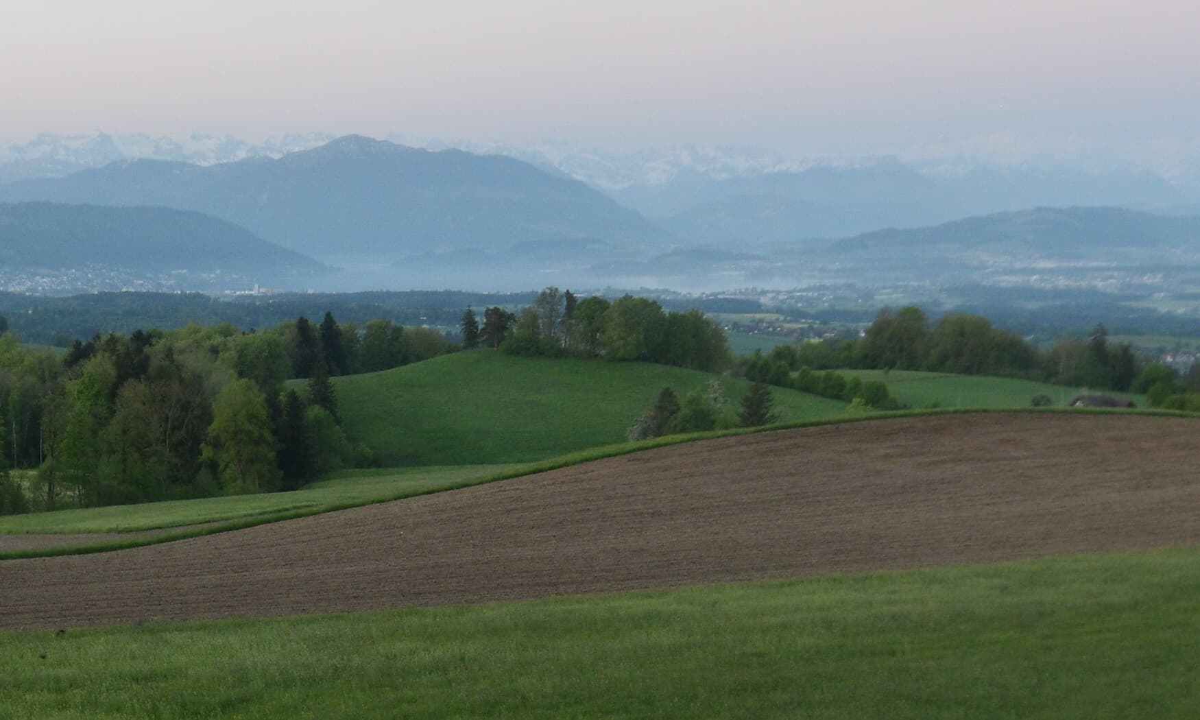 3h ago - 06:01
