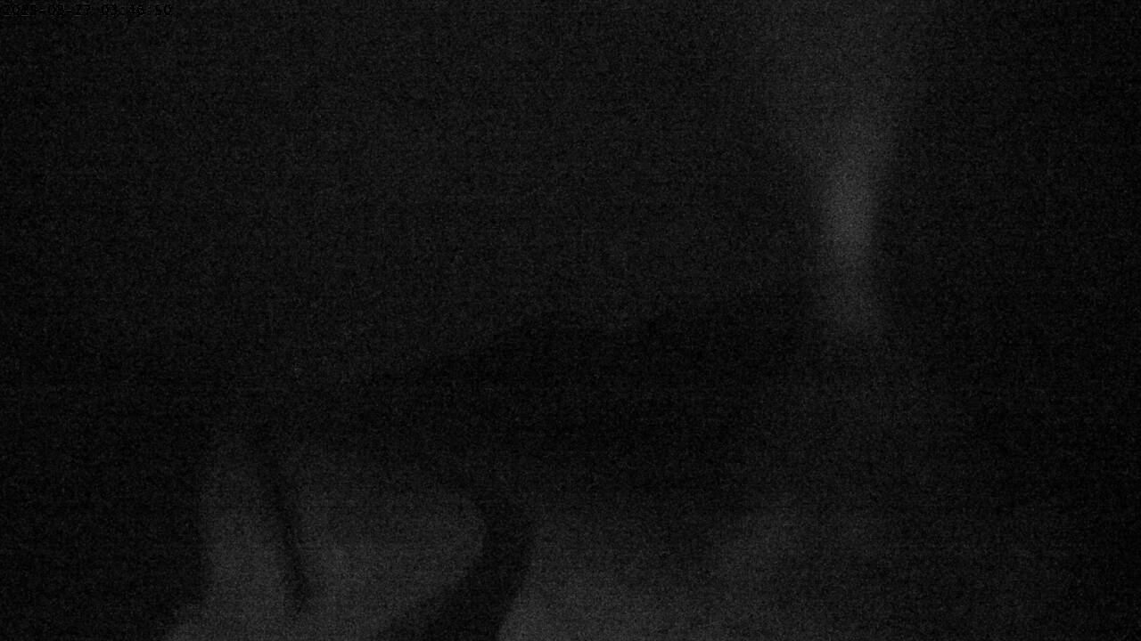1h ago - 03:46