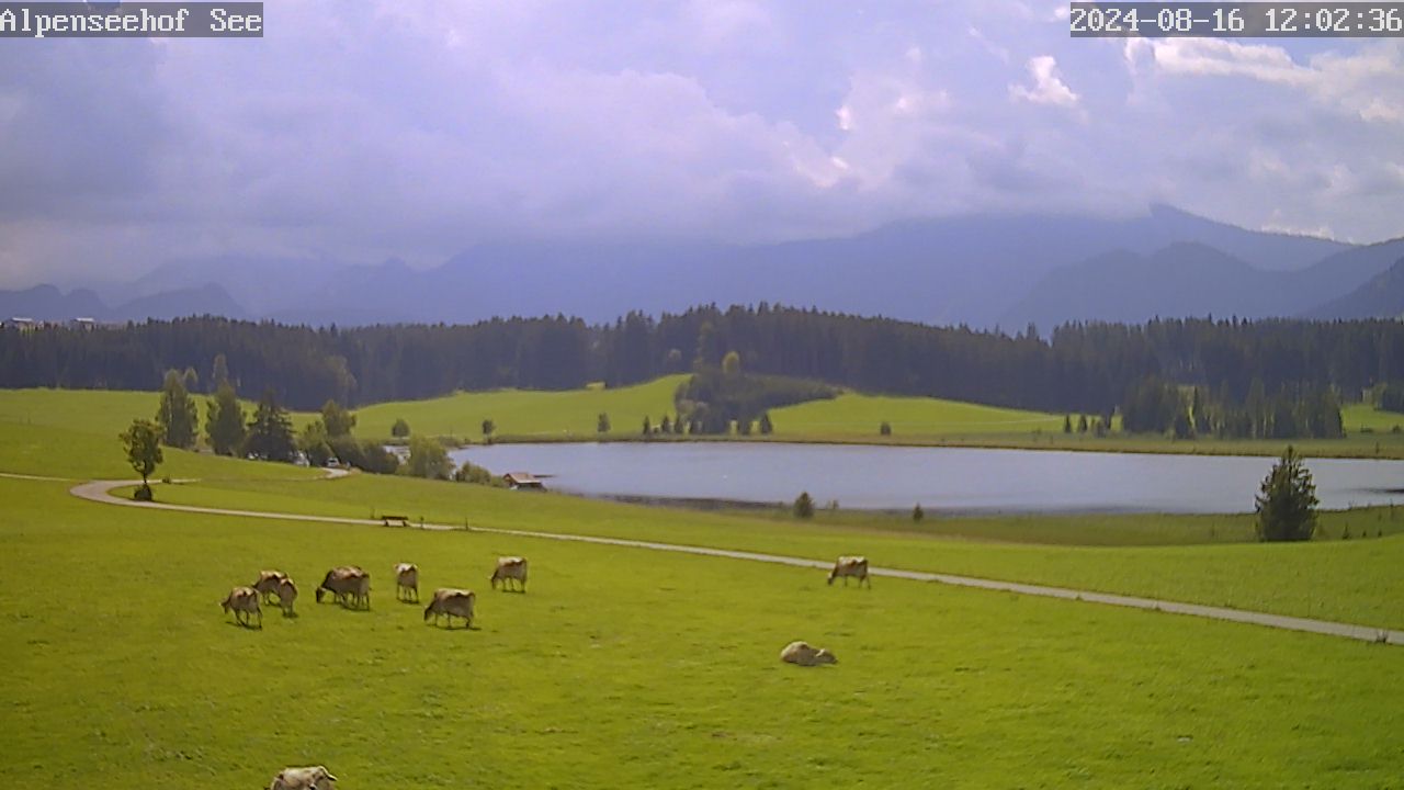 16.08.2024 12:02