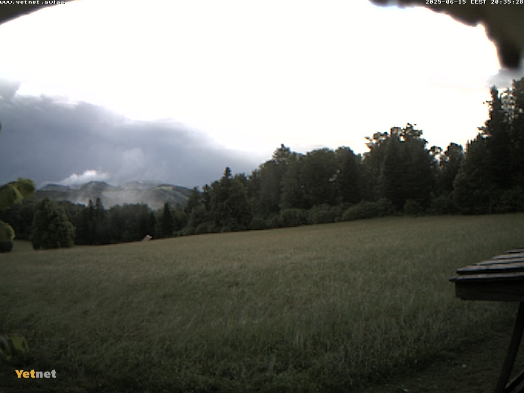 13h ago - 20:35