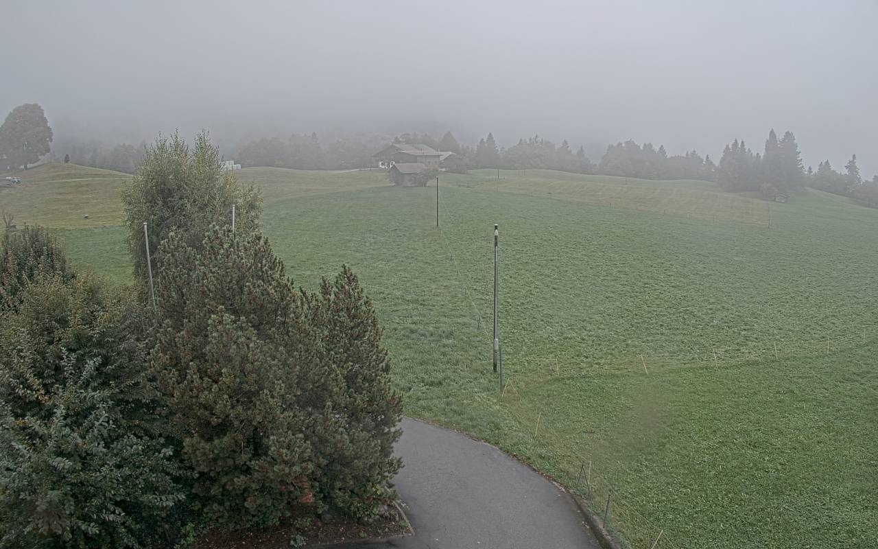 4h ago - 17:55
