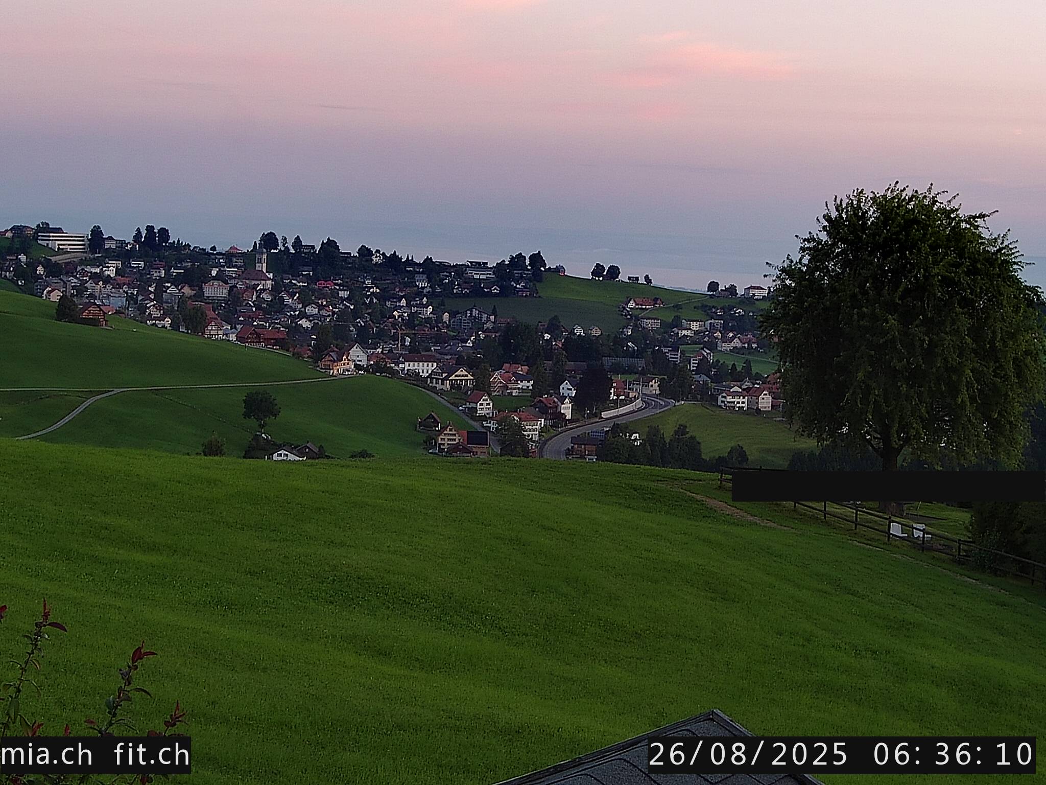 20h ago - 06:36