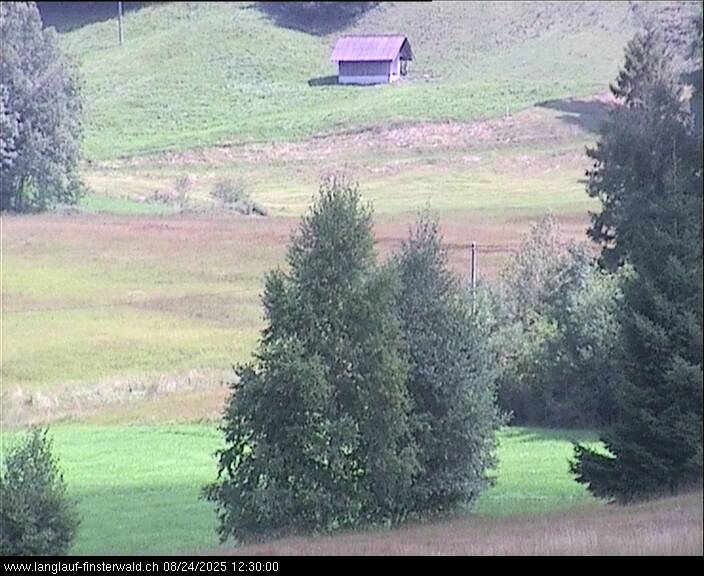 24.08.2025 12:10