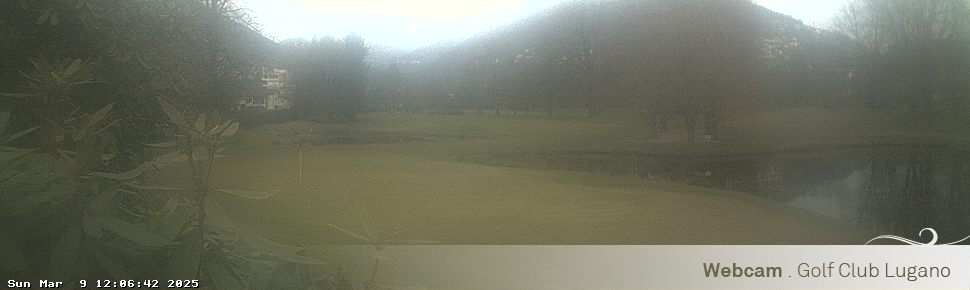 09.03.2025 12:06