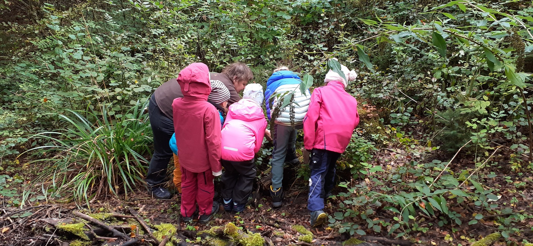 Titelbild des Events: Naturexpedition für Kinder