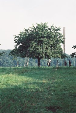 Hofladen Chirsgartehof - 1