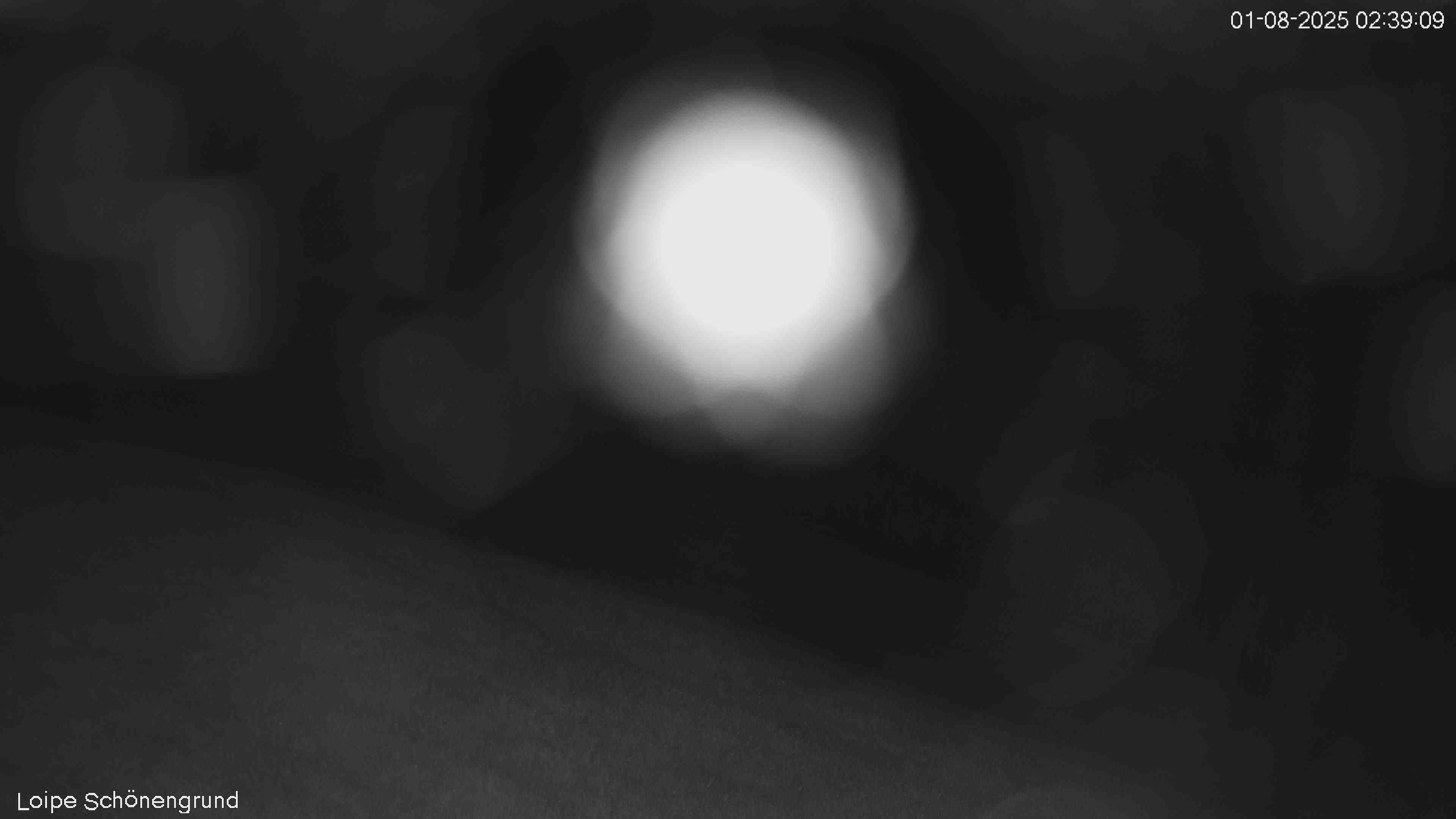 44h ago - 02:39