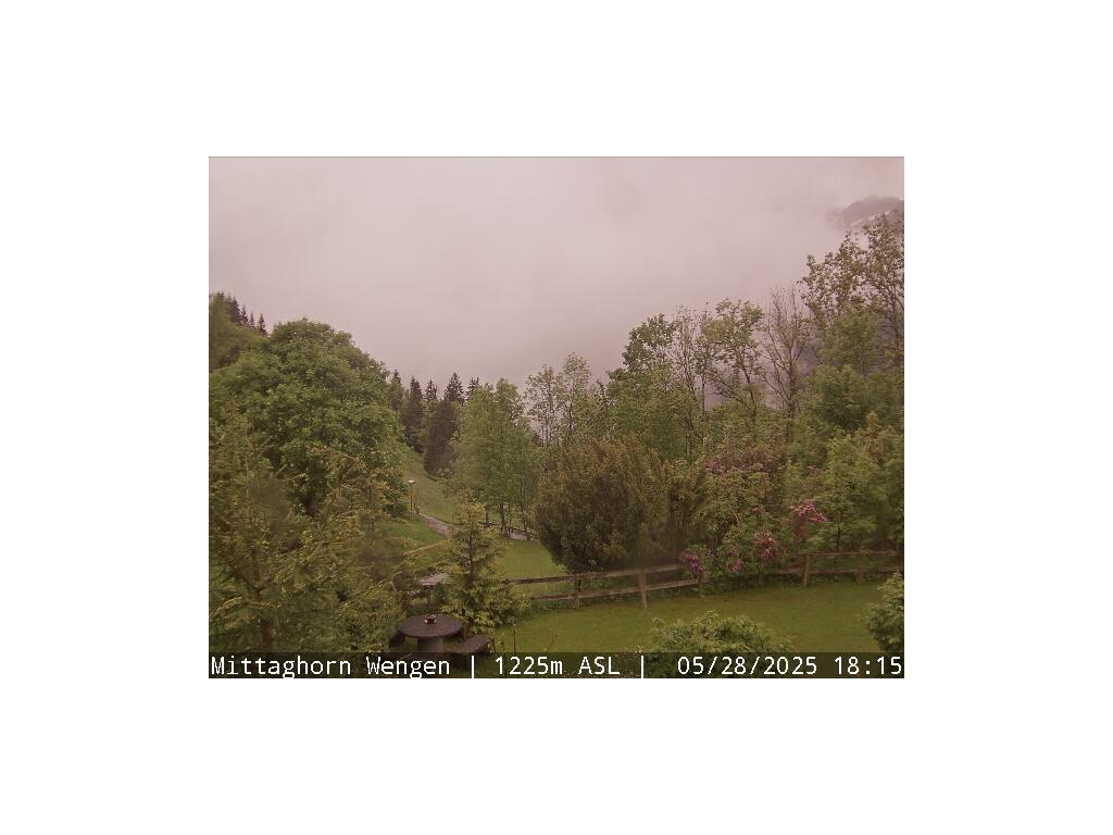 12h ago - 19:44