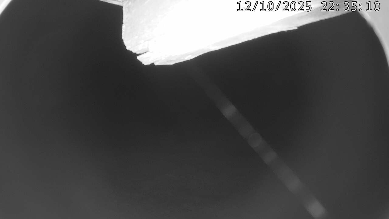 47h ago - 22:35