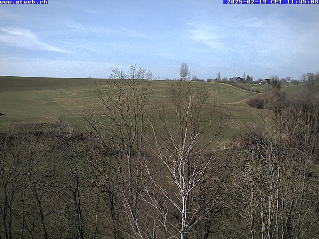 19.02.2025 12:12