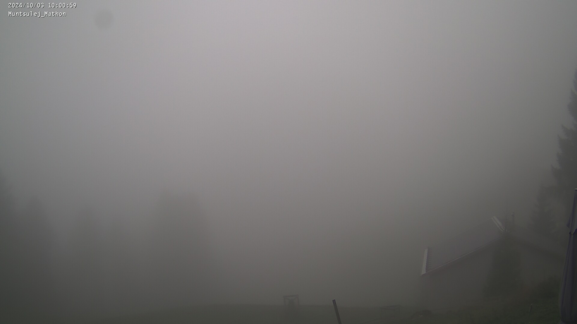03.10.2024 12:01