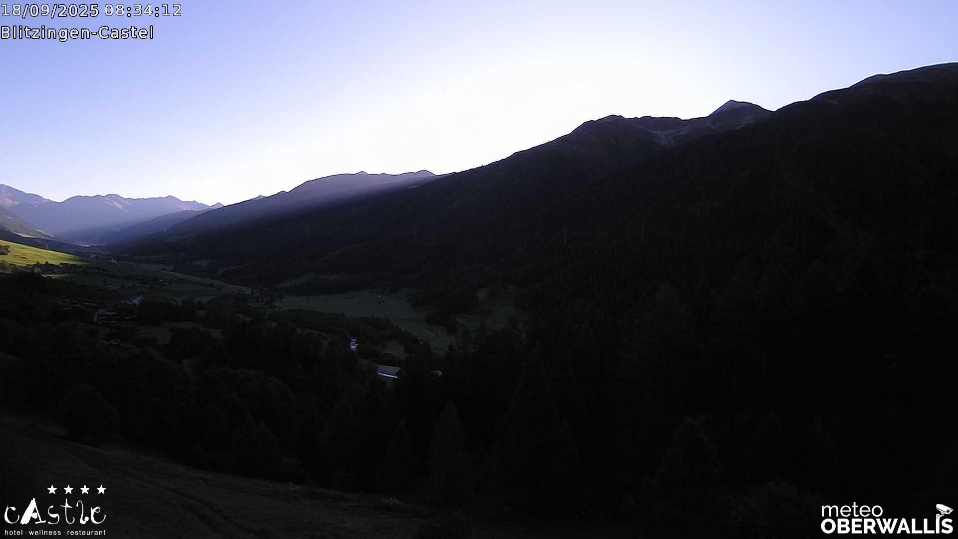 11h ago - 08:31