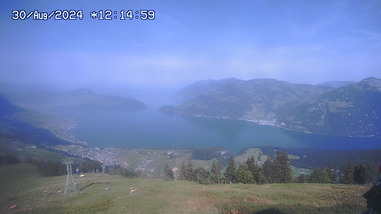 30.08.2024 12:01