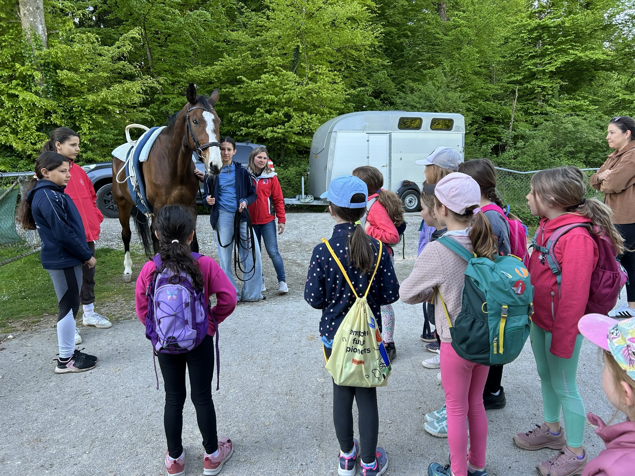 Frühlingsplausch EVIllnau 2026