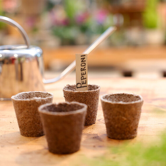 Aussaat und Vermehrung von Kräutern und Gemüse