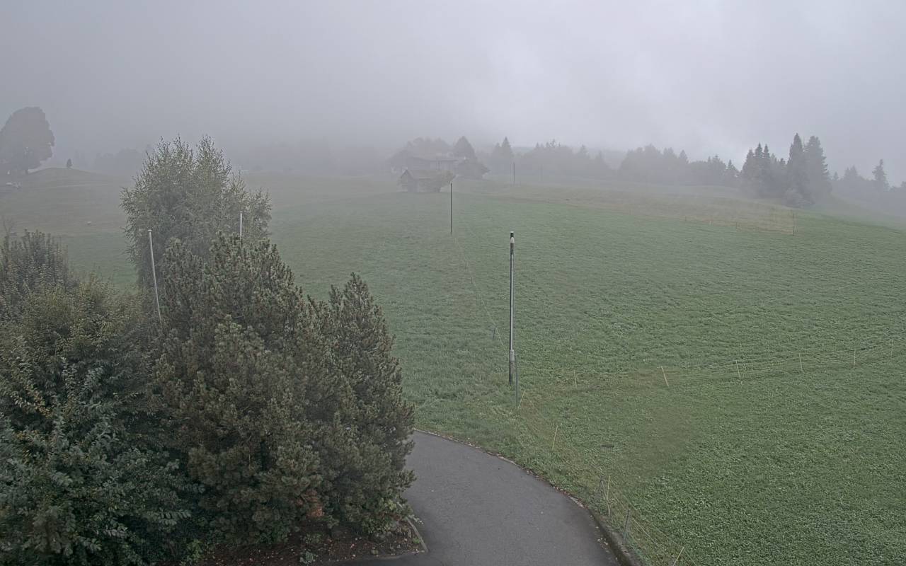 34h ago - 11:25