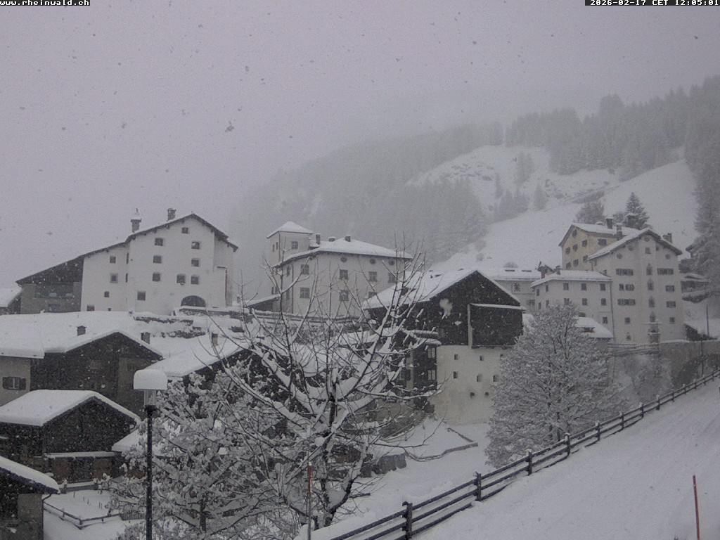 17.02.2026 12:05