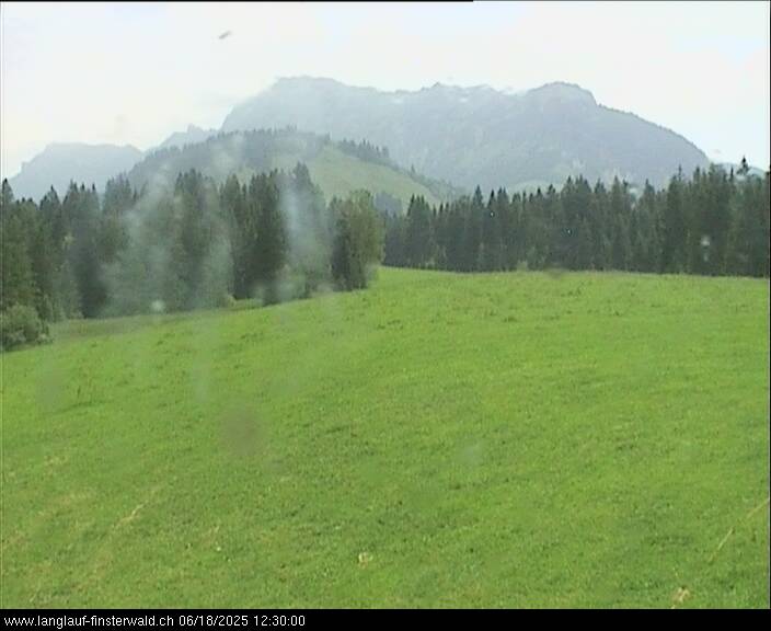 18.06.2025 12:11