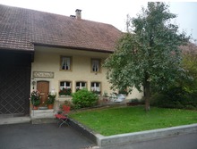 Dorfmuseum Birr - 1