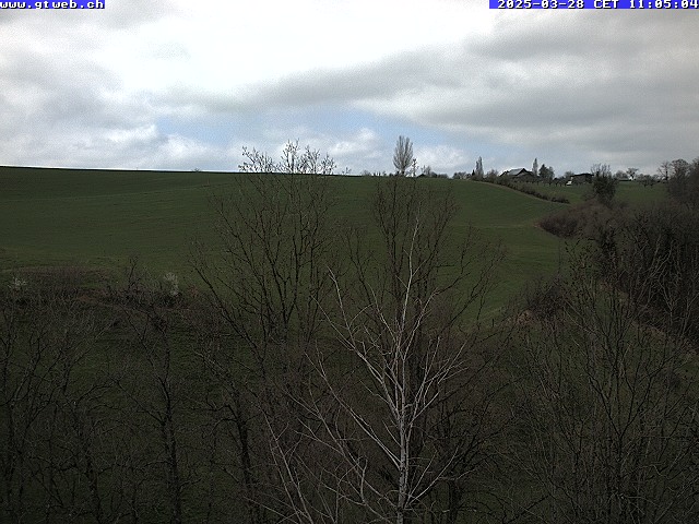 28.03.2025 11:32