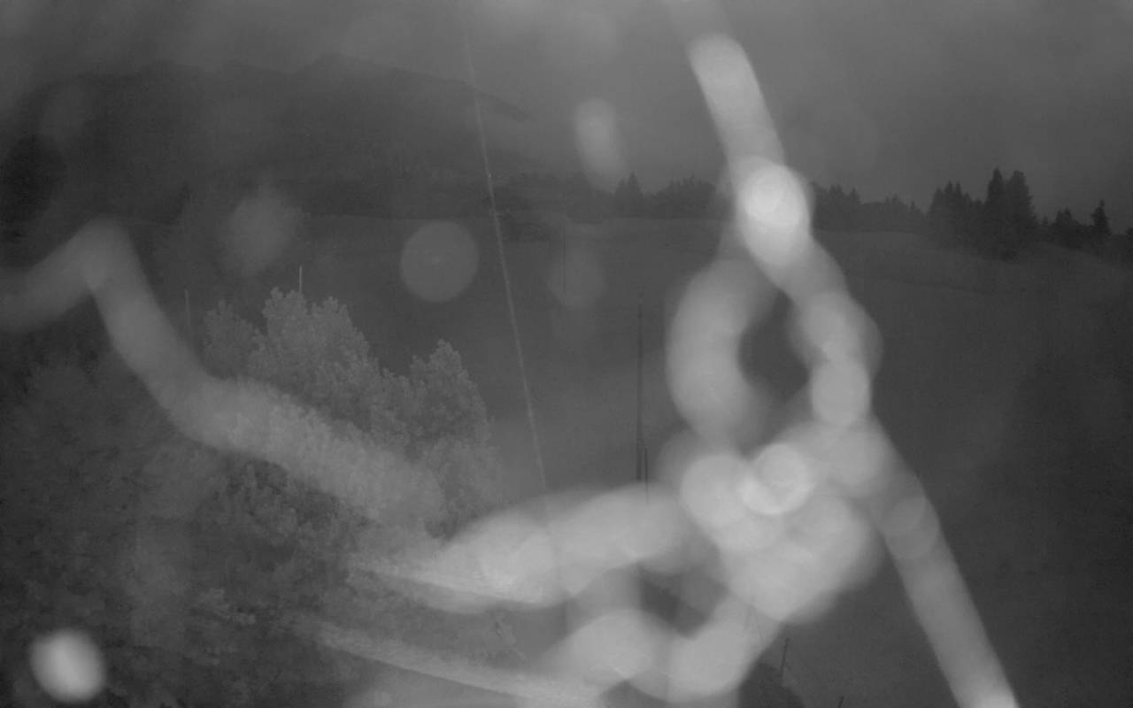2h ago - 19:55
