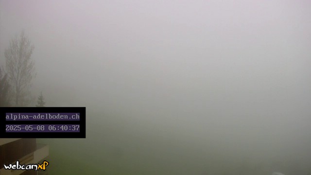 30h ago - 06:40
