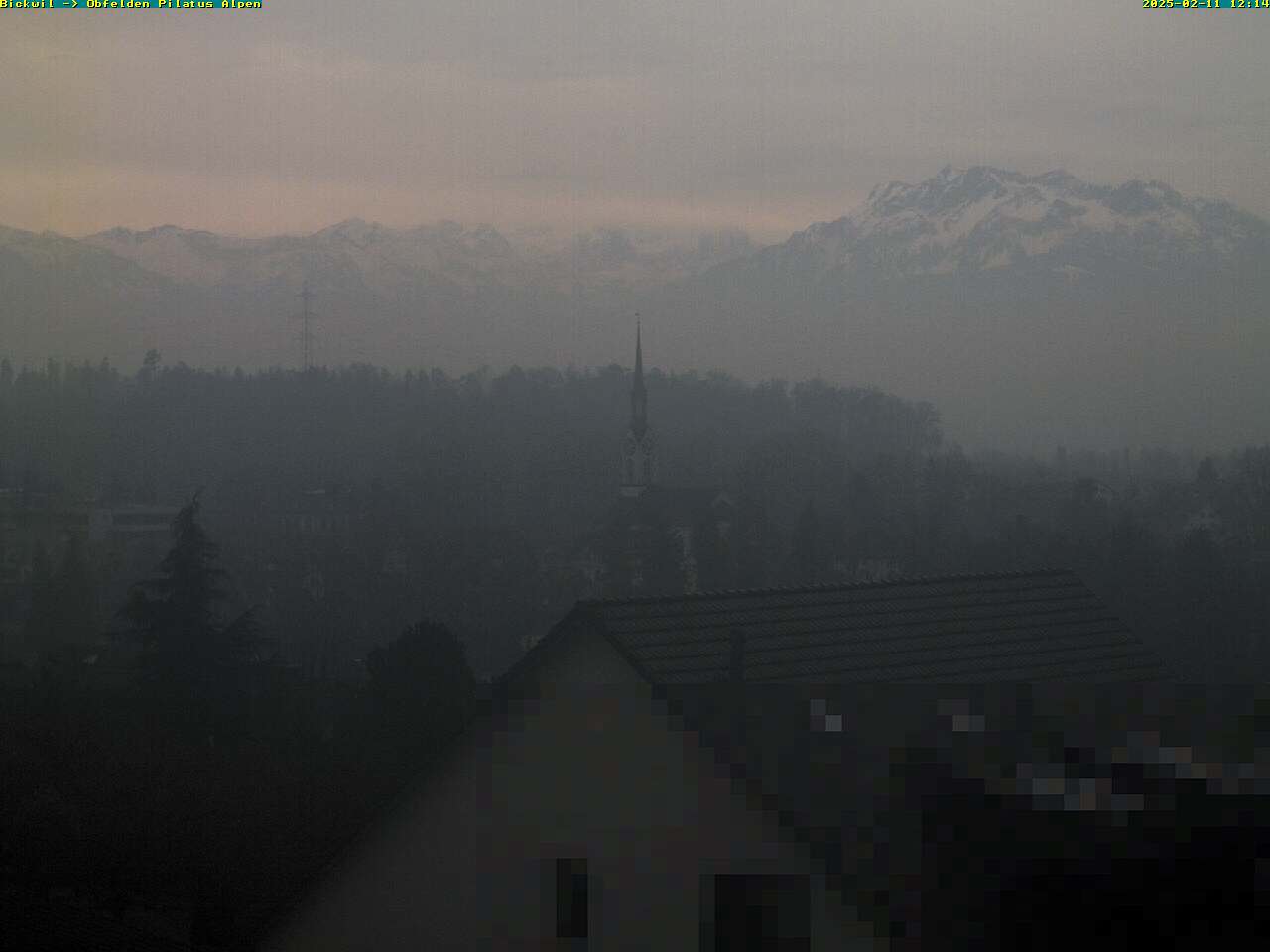 11.02.2025 12:14