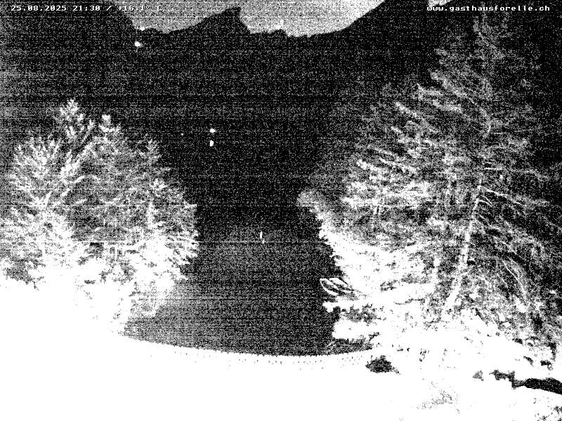 24h ago - 21:30