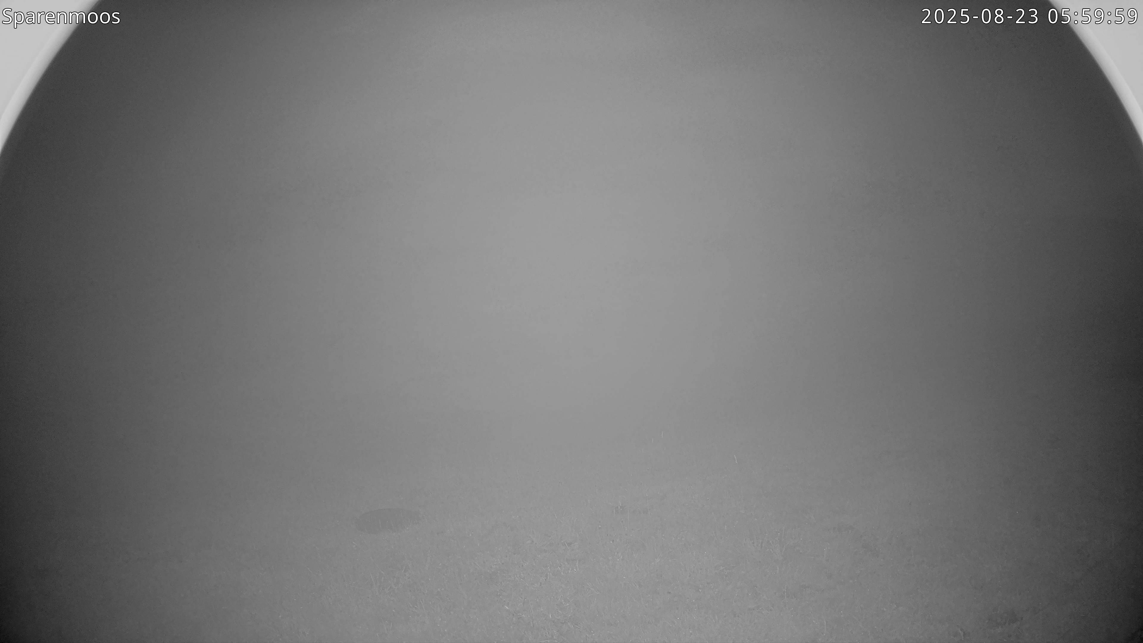 15h ago - 06:00