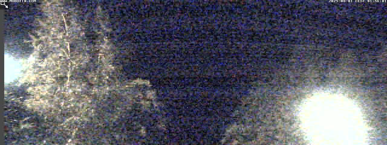 30h ago - 02:01