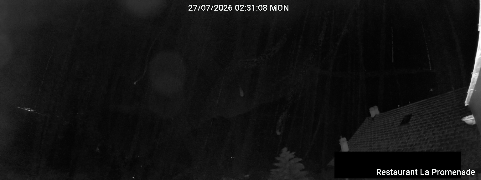 2h ago - 03:31