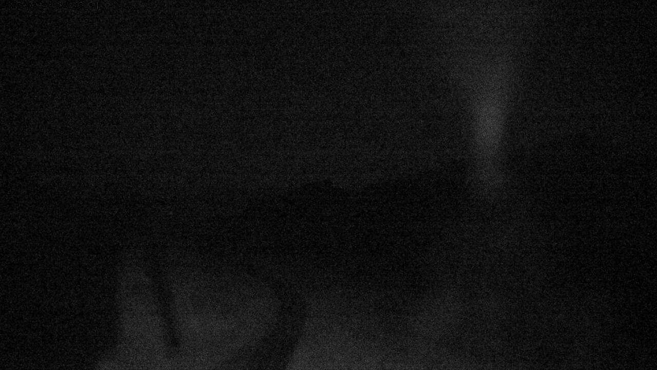 23h ago - 02:45