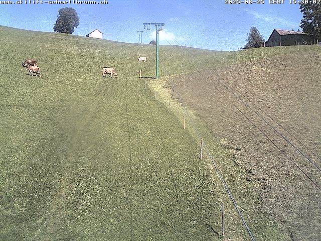 35h ago - 15:30