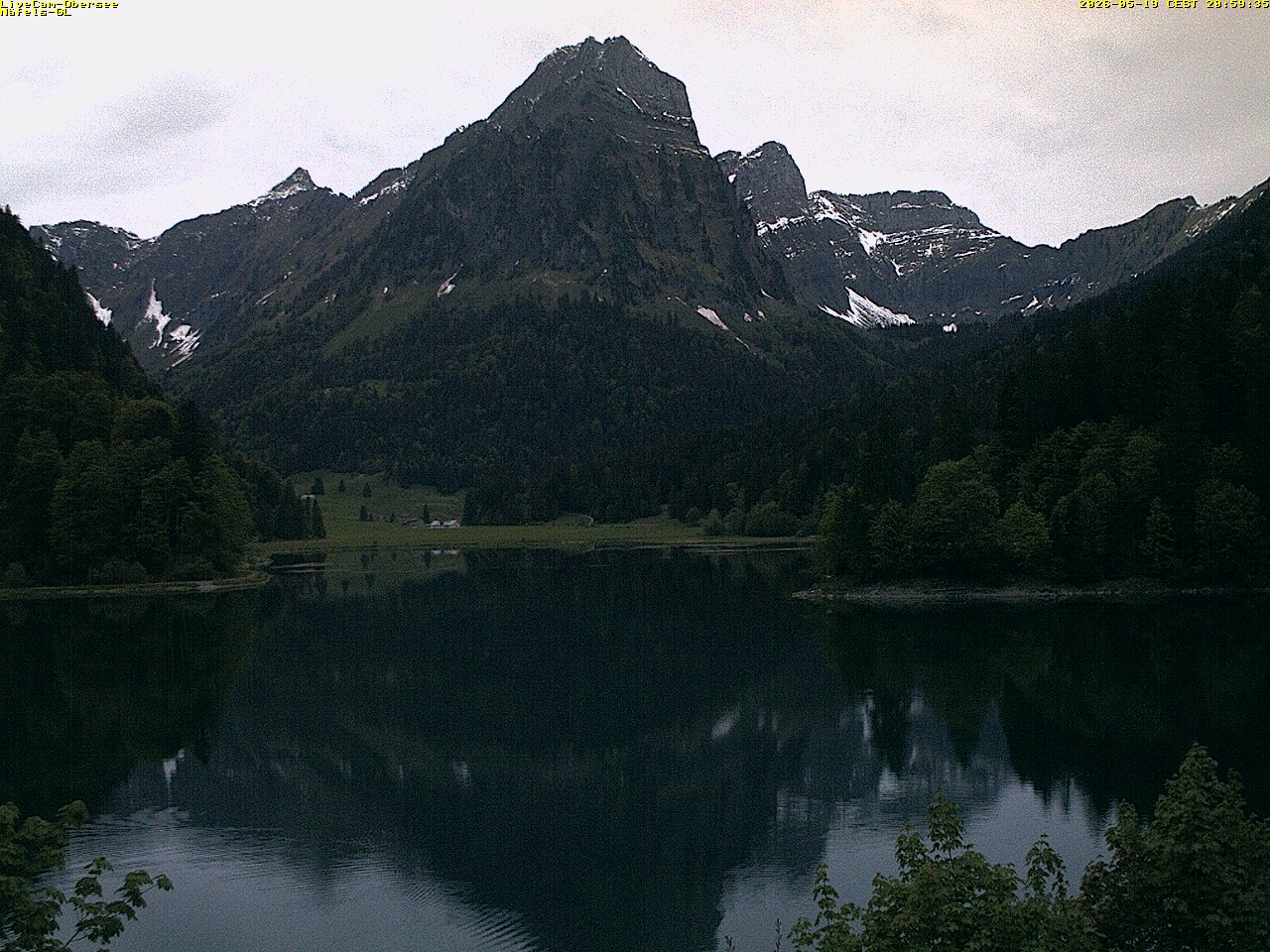 8h ago - 21:05